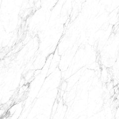 Statuario Delicato